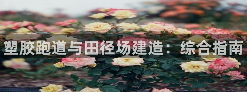 谈球吧是黑台子吗知乎全文：塑胶跑道与田径场建造：综合指南