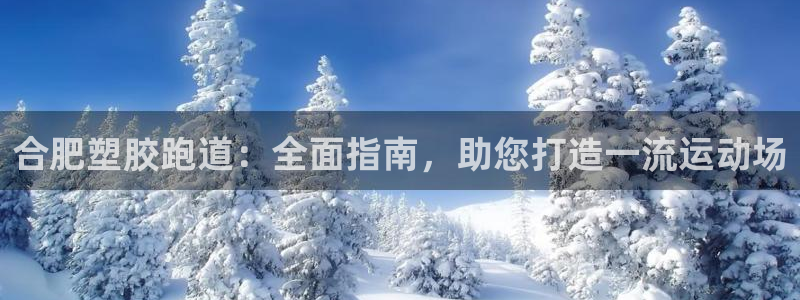 谈球吧全站app下载：合肥塑胶跑道：全面指南，助您打造一流运动场