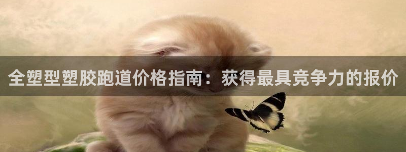 谈球吧被黑不给提现：全塑型塑胶跑道价格指南：获得最具