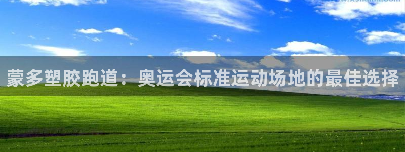 谈球吧官网app下载：蒙多塑胶跑道：奥运会标准运动场地的最佳选择