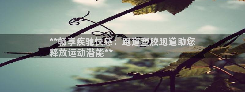 谈球吧(中国)官方网站：**畅享疾驰快感：跑道塑胶跑道助您
释放运动潜能**