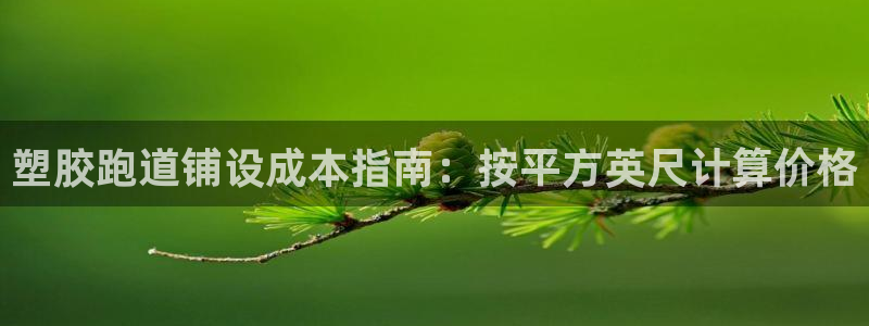 谈球吧app赛事分析在哪里看：塑胶跑道铺设成本指南：按平方英尺计算价格