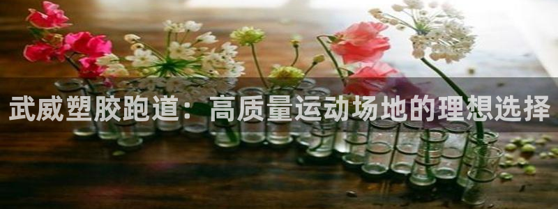 谈球吧体育app下载中心官方最新版：武威塑胶跑道：高质量运动场地的理想选择