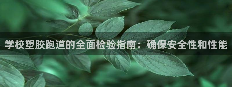 谈球吧体育app下载官网手机版：学校塑胶跑道的全面检验指南：确保安全性和性能
