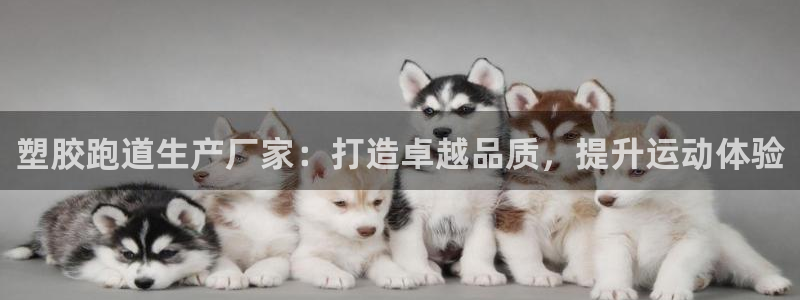 谈球吧体育app下载官网苹果手机：塑胶跑道生产厂家：打造卓越品质，提升运动体验