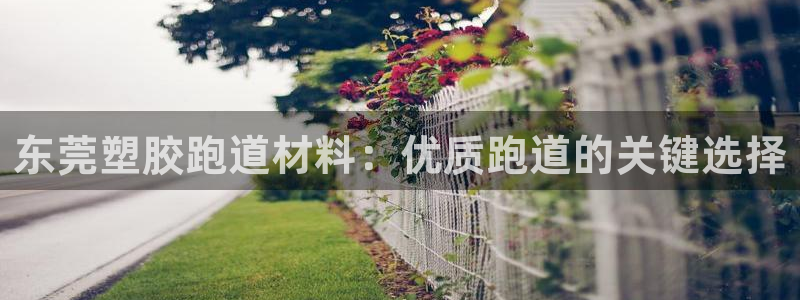 谈球吧体育app下载官网苹果手机：东莞塑胶跑道材料：优质跑道的关键选择