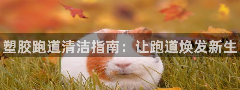 谈球吧是正规平台吗：塑胶跑道清洁指南：让跑道焕发新生