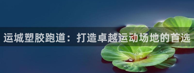 谈球吧官网在线入口免费观看：运城塑胶跑道：打造卓越运动场地的首选
