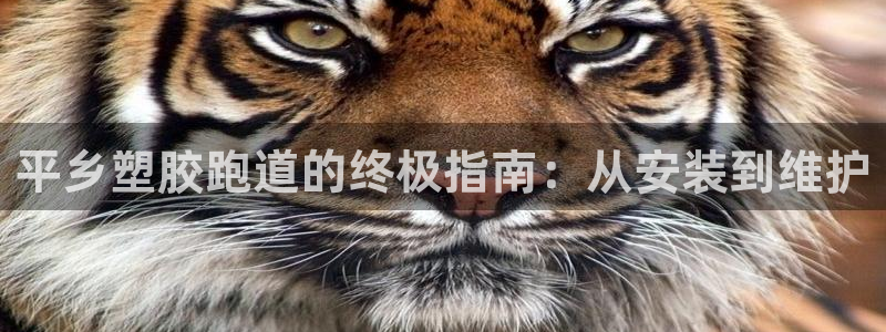 谈球吧出款：平乡塑胶跑道的终极指南：从安装到维护