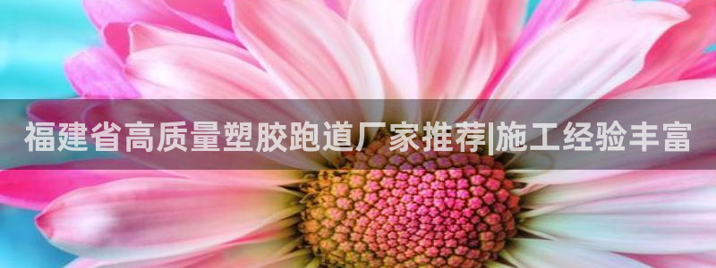 谈球吧入口：福建省高质量塑胶跑道厂家推荐|施工经验丰富