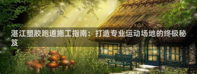 谈球吧官网在线入口：湛江塑胶跑道施工指南：打造专业运动场地的终极秘
笈