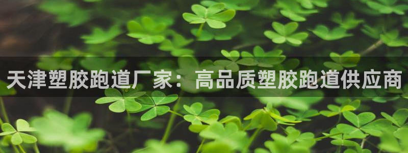 谈球吧平台：天津塑胶跑道厂家：高品质塑胶跑道供应商