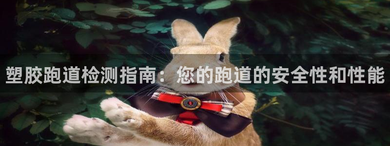 谈球吧官网登录：塑胶跑道检测指南：您的跑道的安全性和性能