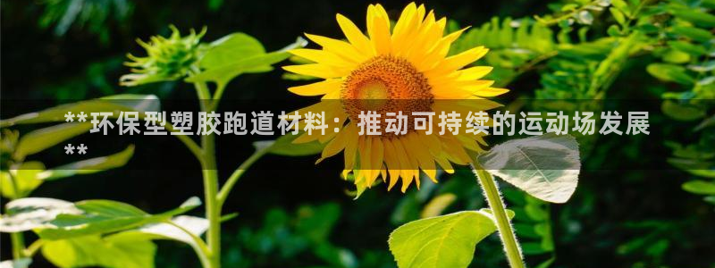 谈球吧-体育赛事：**环保型塑胶跑道材料：推动可持续的运动场发展
**