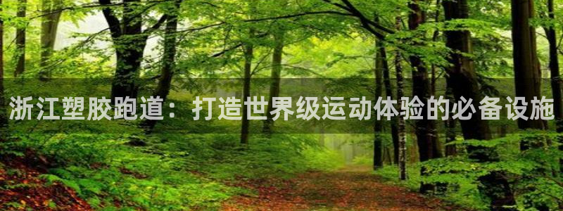 谈球吧的聊天软件叫什么：浙江塑胶跑道：打造世界级运动体验的必备设施