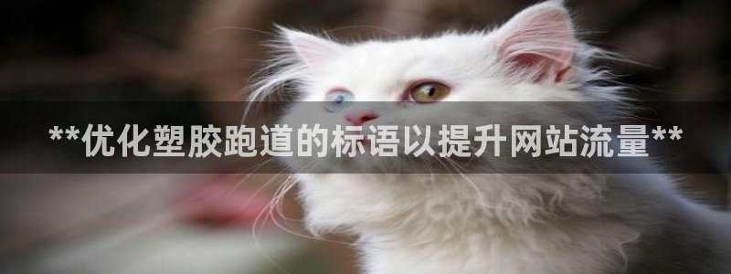 谈球吧官网在线入口：**优化塑胶跑道的标语以提升网站流量**