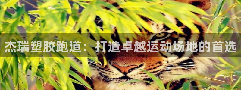 谈球吧app体育下载：杰瑞塑胶跑道：打造卓越运动场地