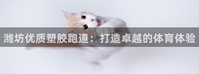 谈球吧app赛事分析报告：潍坊优质塑胶跑道：打造卓越的体育体验