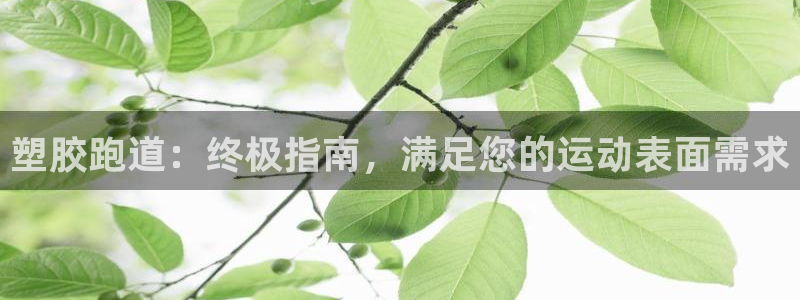 谈球吧出款：塑胶跑道：终极指南，满足您的运动表面需求