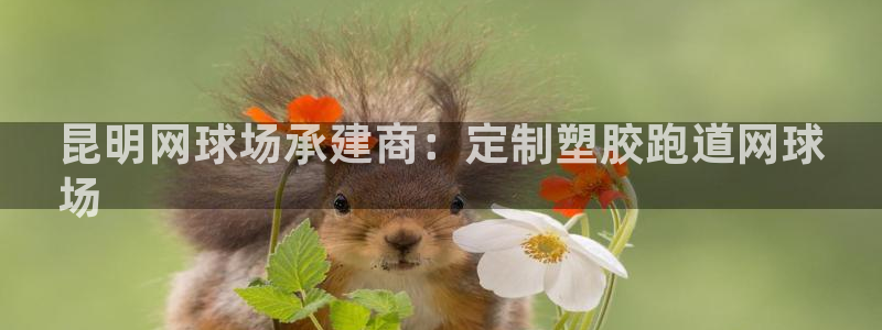 谈球吧体育官网在线入口：昆明网球场承建商：定制塑胶跑道网球
场