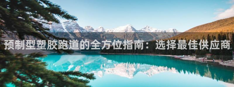 谈球吧平台正规吗：预制型塑胶跑道的全方位指南：选择最佳供应商
