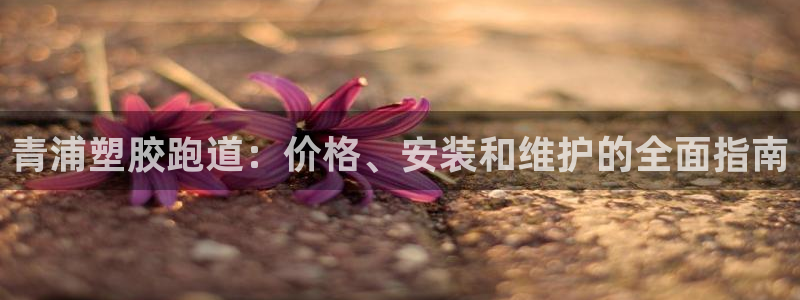 谈球吧官网在线入口手机版：青浦塑胶跑道：价格、安装和维护的全面指南