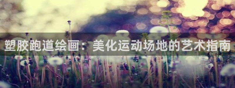 谈球吧的聊天软件下载：塑胶跑道绘画：美化运动场地的艺术指南