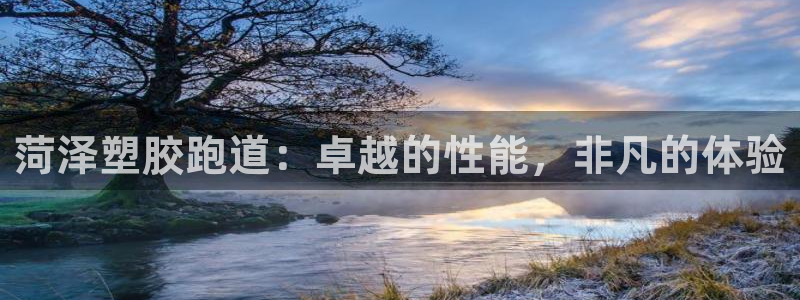 谈球吧APP开元：菏泽塑胶跑道：卓越的性能，非凡的体验