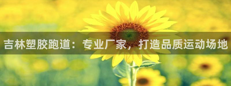 谈球吧体育官网在线入口免费观看：吉林塑胶跑道：专业厂家，打造品质运动场地