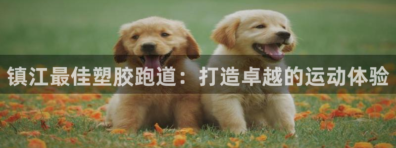 谈球吧体育app下载官网苹果版：镇江最佳塑胶跑道：打造卓越的运动体验