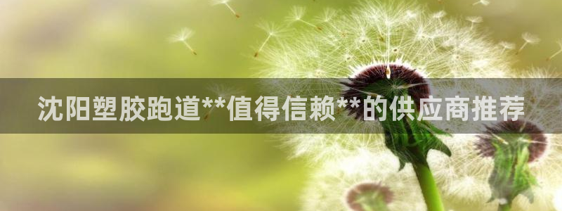 谈球吧怎么样?：沈阳塑胶跑道**值得信赖**的供应商推荐