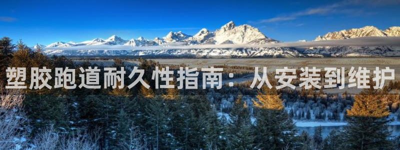 谈球吧全站app下载手机版：塑胶跑道耐久性指南：从安装到维护