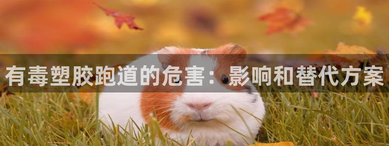 谈球吧账号有人收吗：有毒塑胶跑道的危害：影响和替代方