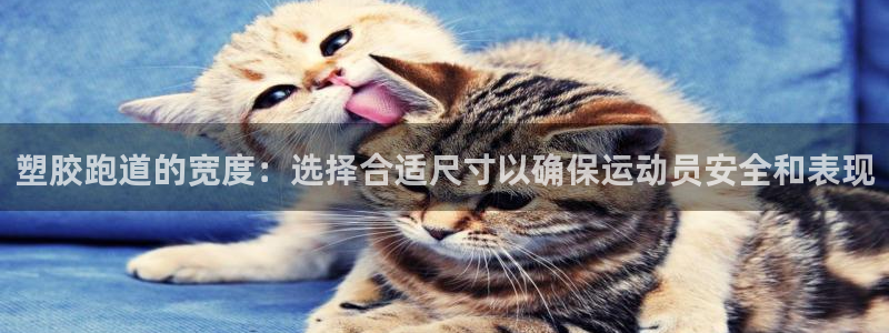 谈球吧中国官方网站：塑胶跑道的宽度：选择合适尺寸以确保运动员安全和表现