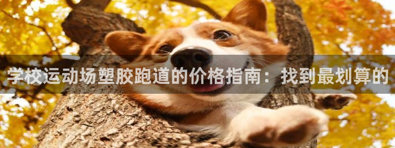 谈球吧属于哪个：学校运动场塑胶跑道的价格指南：找到最划算的