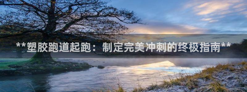 谈球吧APP入口：**塑胶跑道起跑：制定完美冲刺的终极指南**