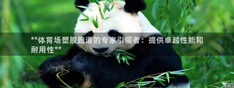 谈球吧体育首页综合登陆：**体育场塑胶跑道的专家引领者：提供卓越性能和
耐用性**