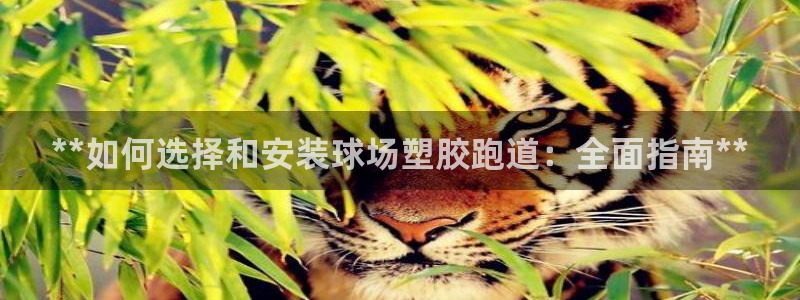 谈球吧属于哪个旗下的品牌：**如何选择和安装球场塑胶跑道：全面指南**