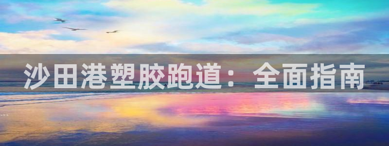 谈球吧平台app下载网址：沙田港塑胶跑道：全面指南