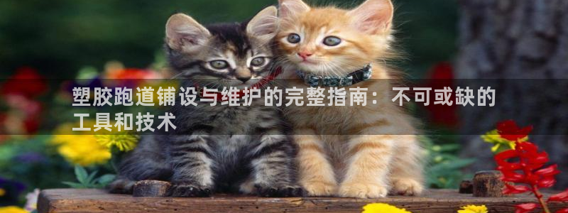 谈球吧APP入口