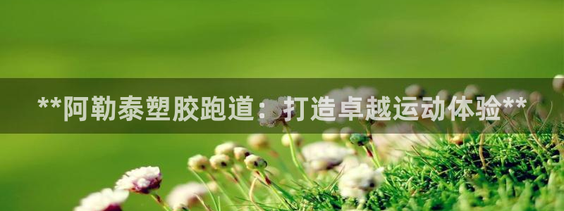 谈球吧平台app下载网址是什么：**阿勒泰塑胶跑道：