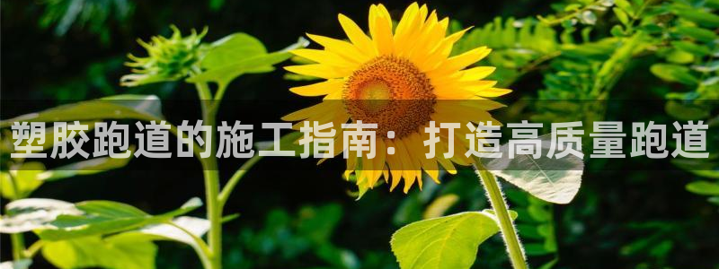 谈球吧怎么样?：塑胶跑道的施工指南：打造高质量跑道