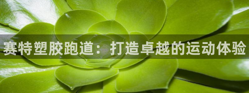 谈球吧算违法行为吗为什么：赛特塑胶跑道：打造卓越的运动体验