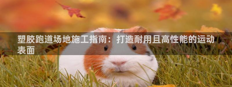 谈球吧官网在线入口免费观看视频：塑胶跑道场地施工指南：打造耐用且高性能的运动
表面