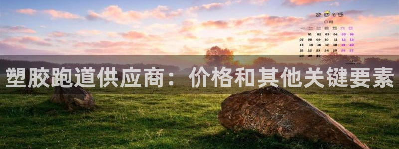 谈球吧tvt：塑胶跑道供应商：价格和其他关键要素