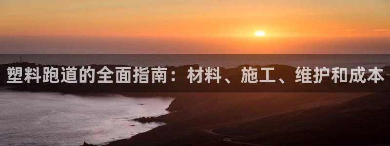 谈球吧体育app官网：塑料跑道的全面指南：材料、施工、维护和成本