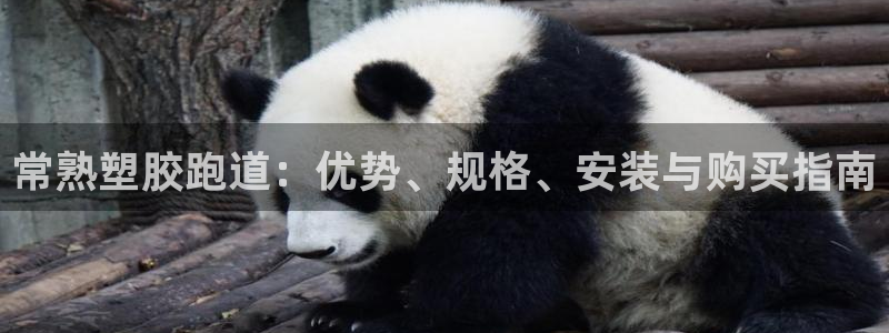 谈球吧体育app官网下载：常熟塑胶跑道：优势、规格、安装与购买指南