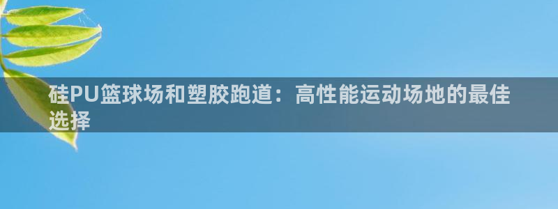 谈球吧官网app下载：硅PU篮球场和塑胶跑道：高性能运动场地的最佳
选择