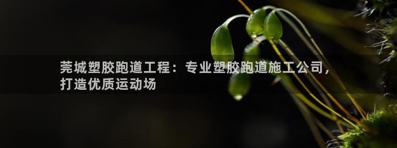 谈球吧怎么样：莞城塑胶跑道工程：专业塑胶跑道施工公司，
打造优质运动场