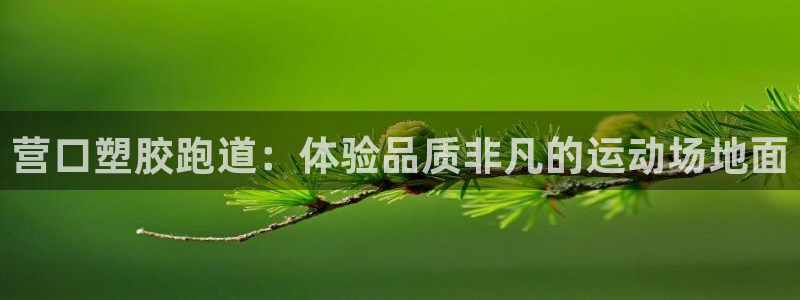 tqb谈球吧：营口塑胶跑道：体验品质非凡的运动场地面